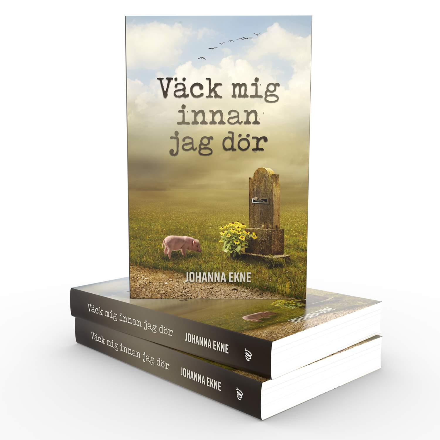 väck mig innan jag dör, bok